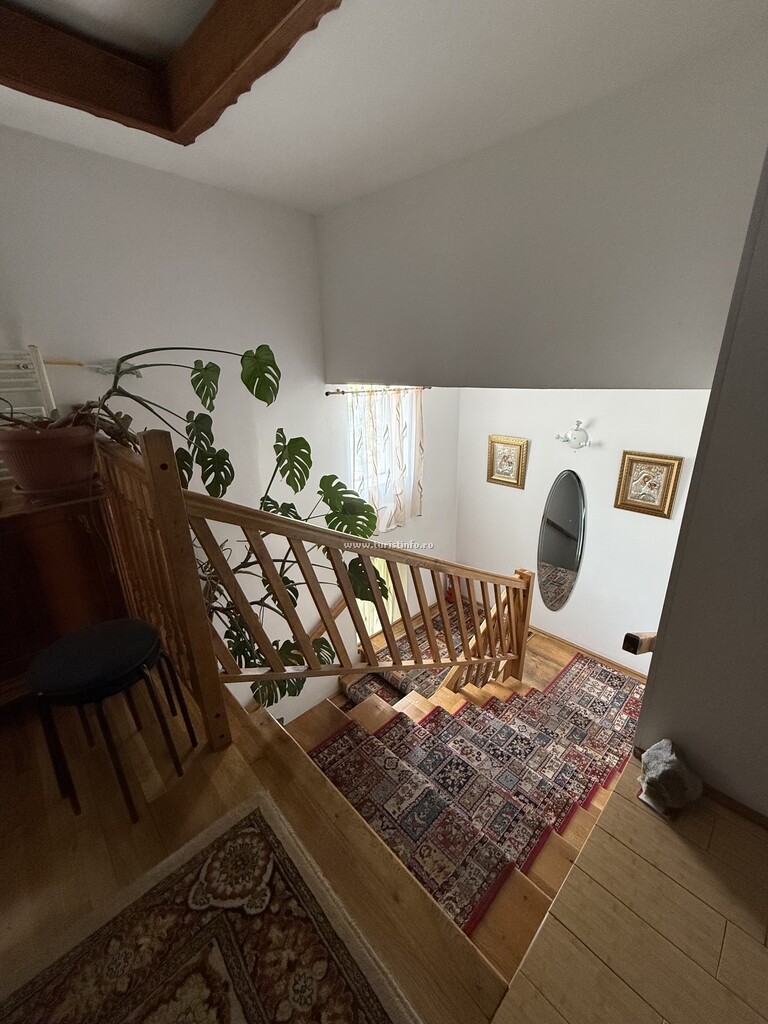 Camere de închiriat Grand Leone
