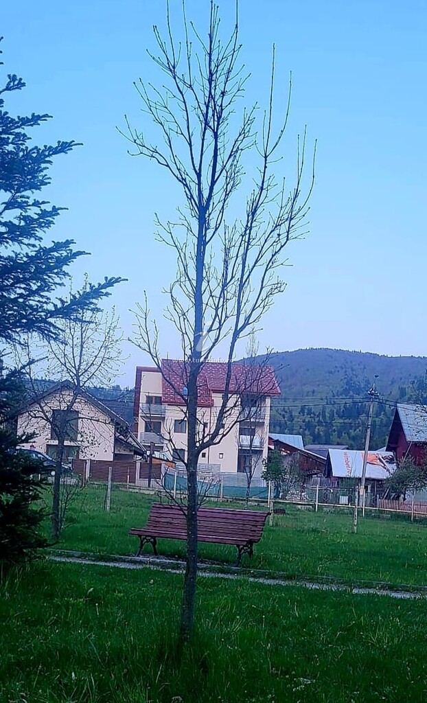 La Oprescu
