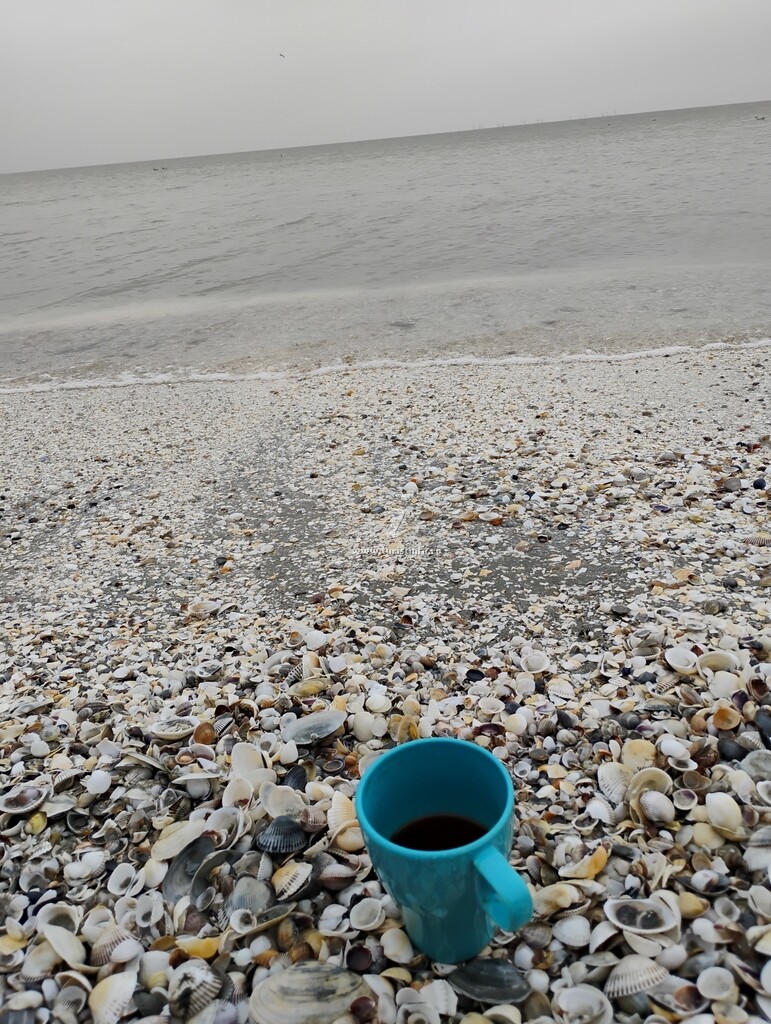 Apartament Seaside Promenada