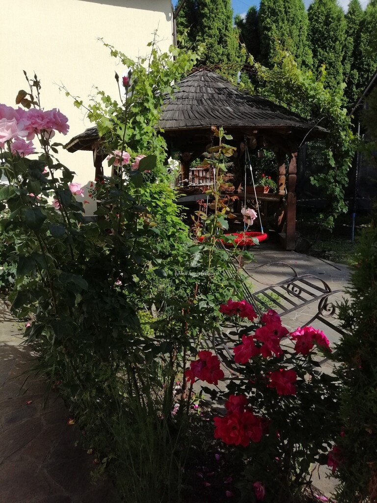 Camere de închiriat Casa Denis