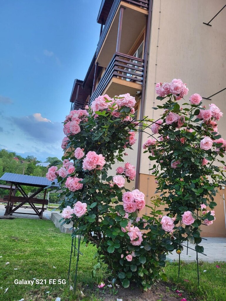 Pensiunea Casa Naționalităților
