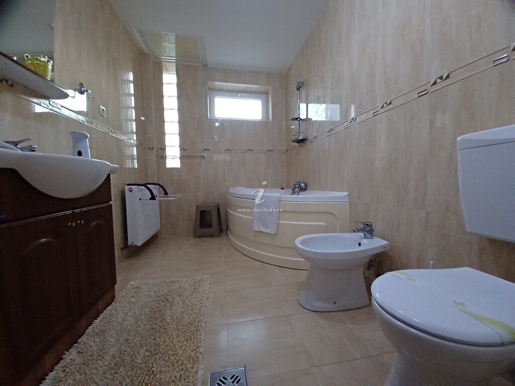 Vila Ava