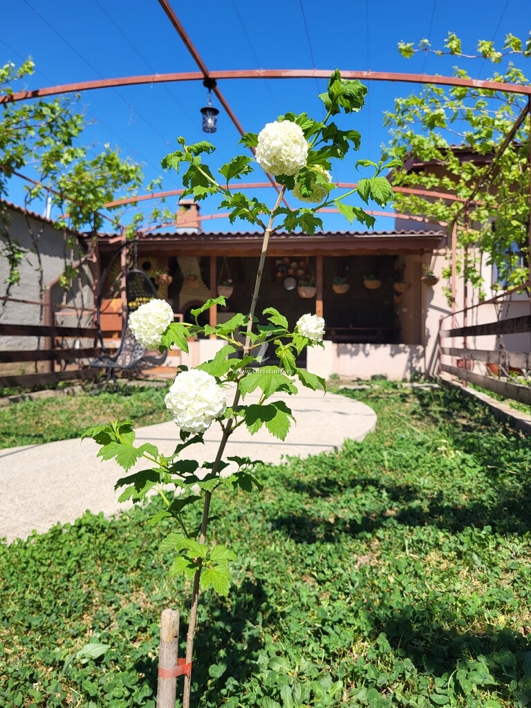 Casa la Balauri