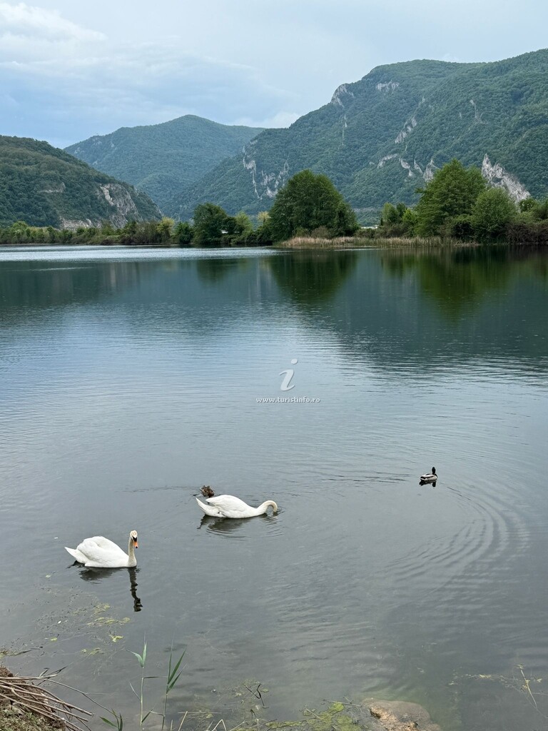 Bungalow-uri Twin Lake House