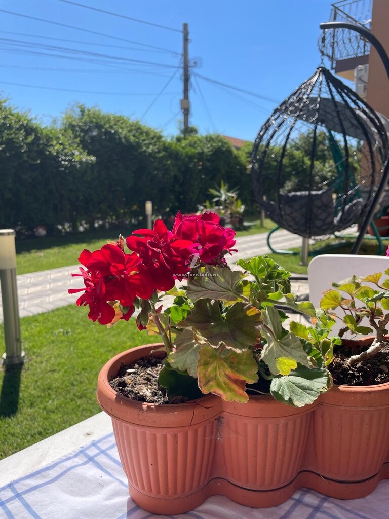 Casa Sunshine