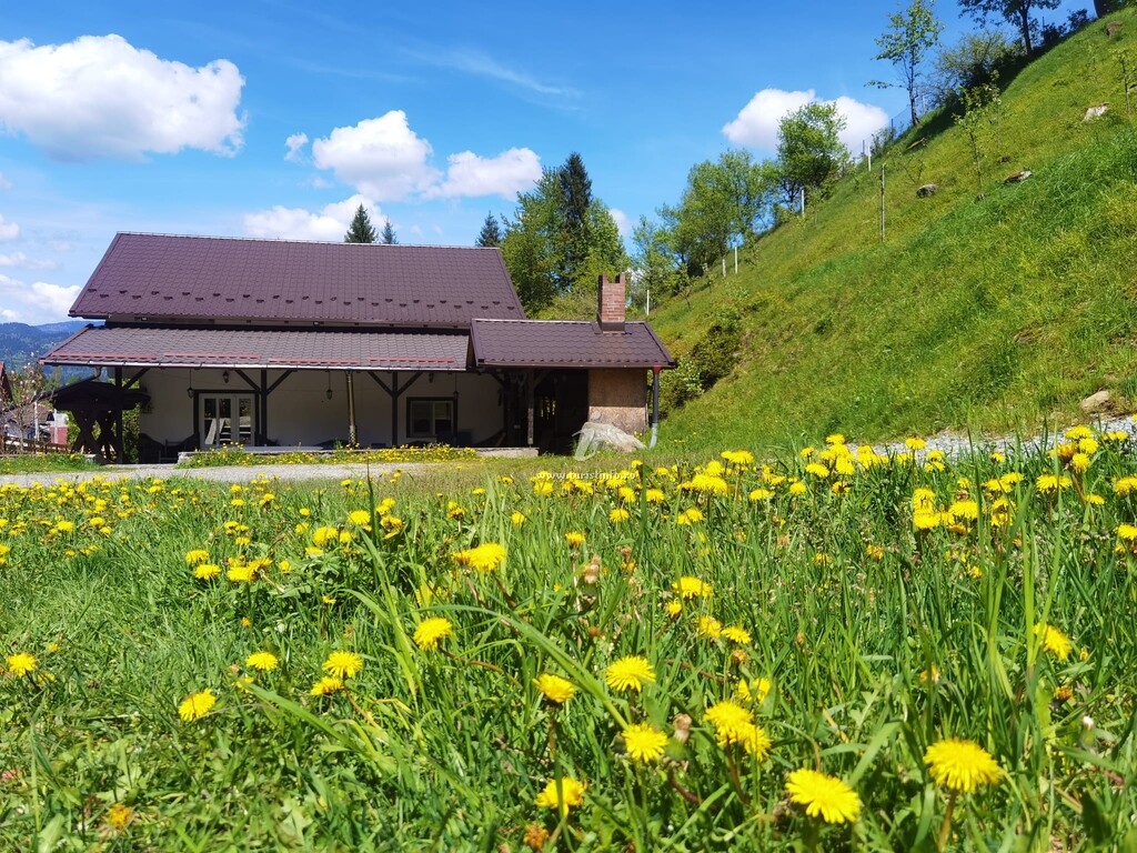 Casa Pietrosu
