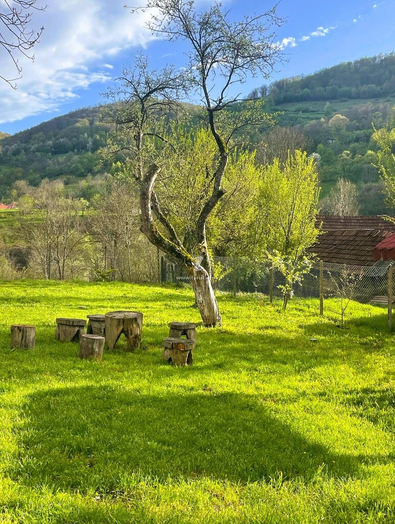 Casa de vacanță Luca's Retreat