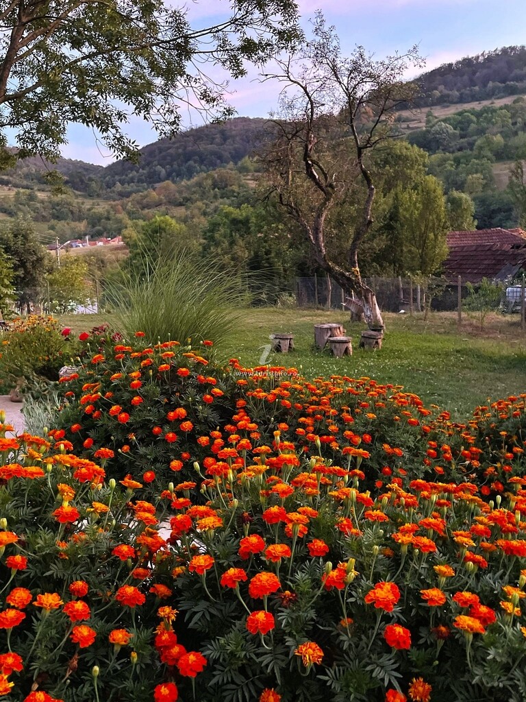 Casa de vacanță Luca's Retreat
