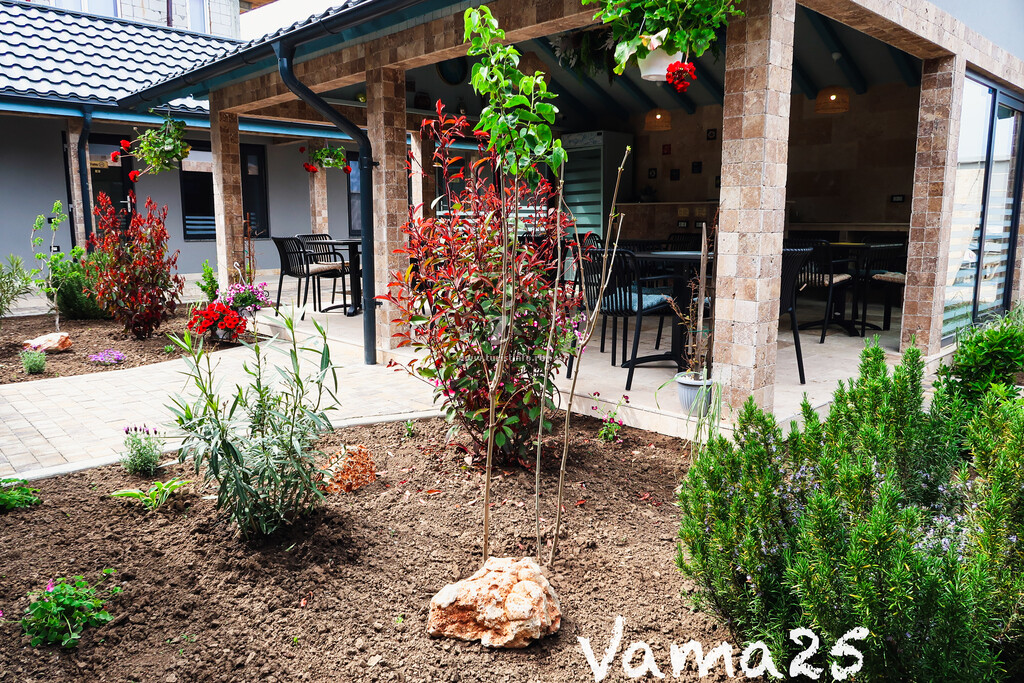 Camere de închiriat Vama 25