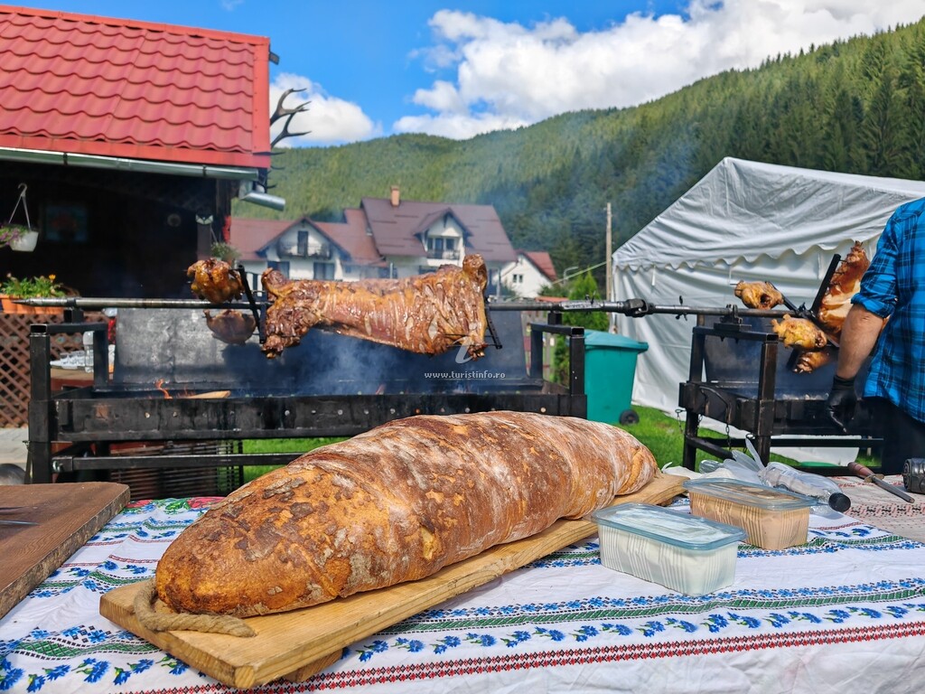 Vila Nico 2