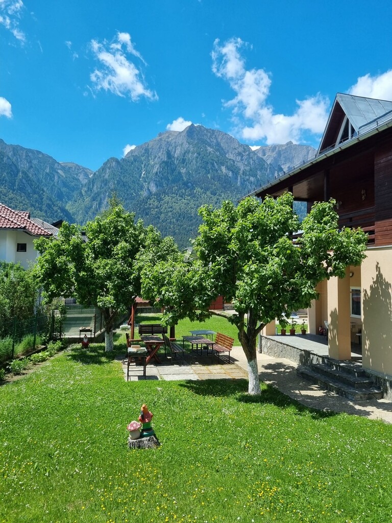 Camere de închiriat Casa Artemis