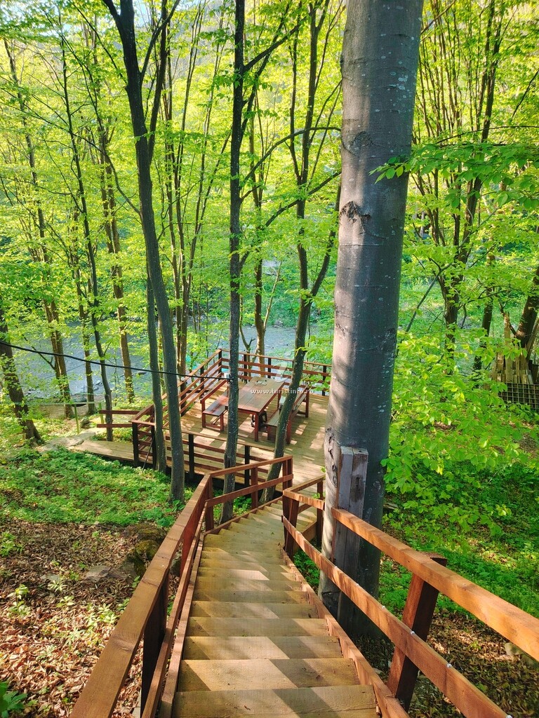 Casa Alex și Andrei