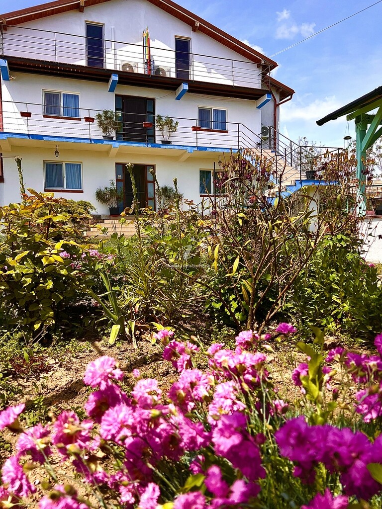 Casa Coman