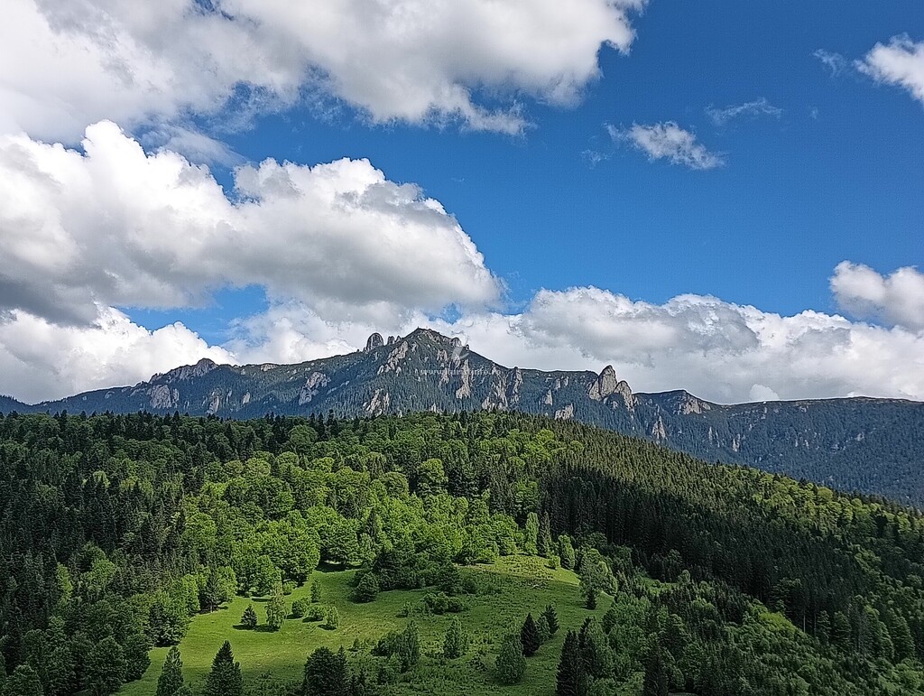 Casa de vacanță Casa Gemenii