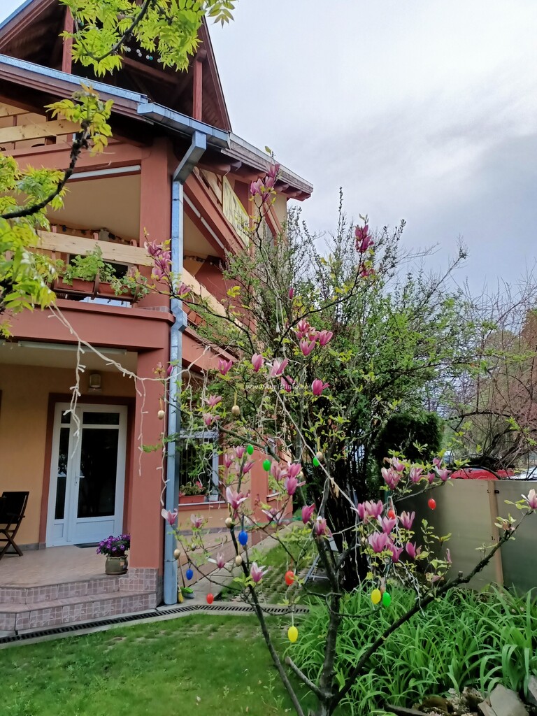 Pensiunea Casa Ara