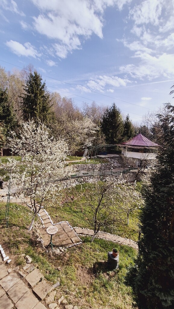Cabana Grădina cu Stele