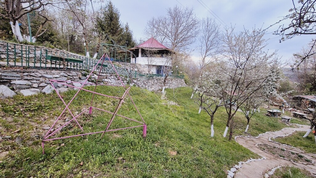 Cabana Grădina cu Stele