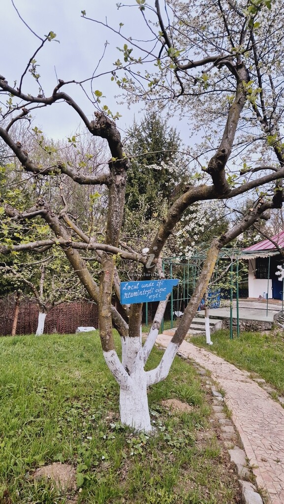 Cabana Grădina cu Stele
