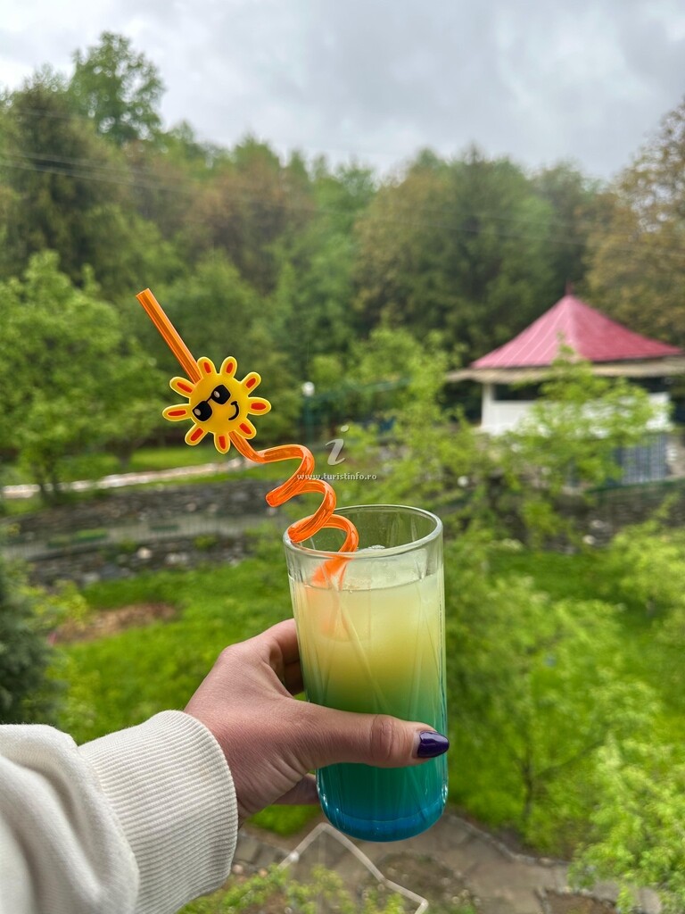 Cabana Grădina cu Stele