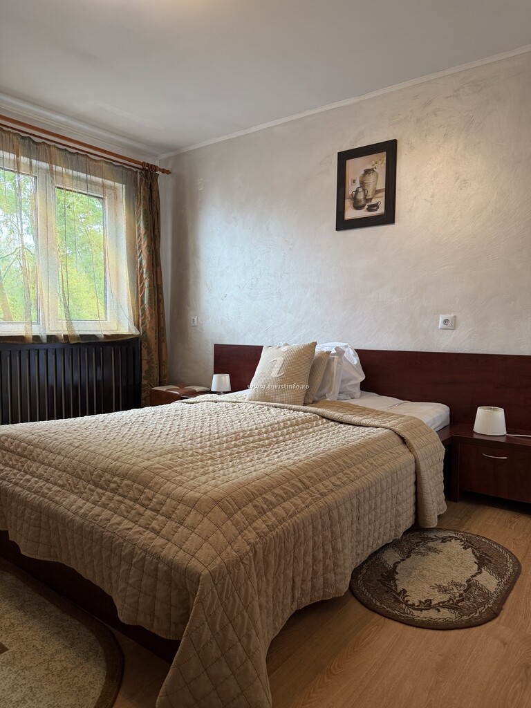 Pensiunea Vlăduț