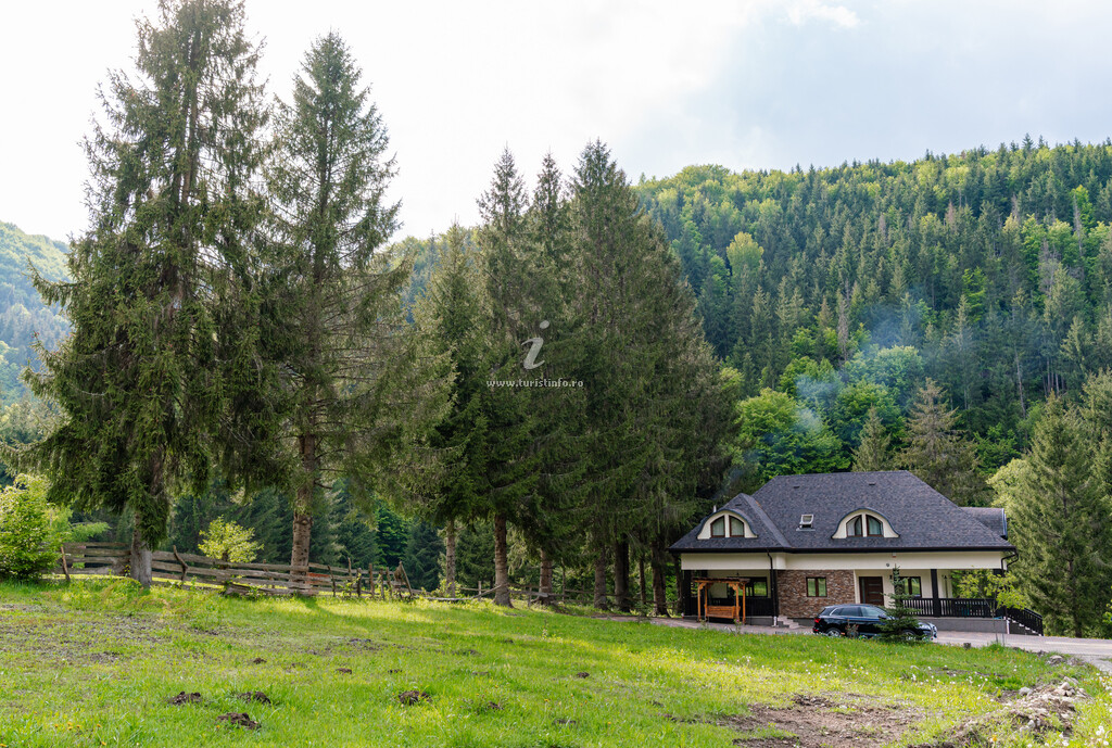 Cabana Pietroasa