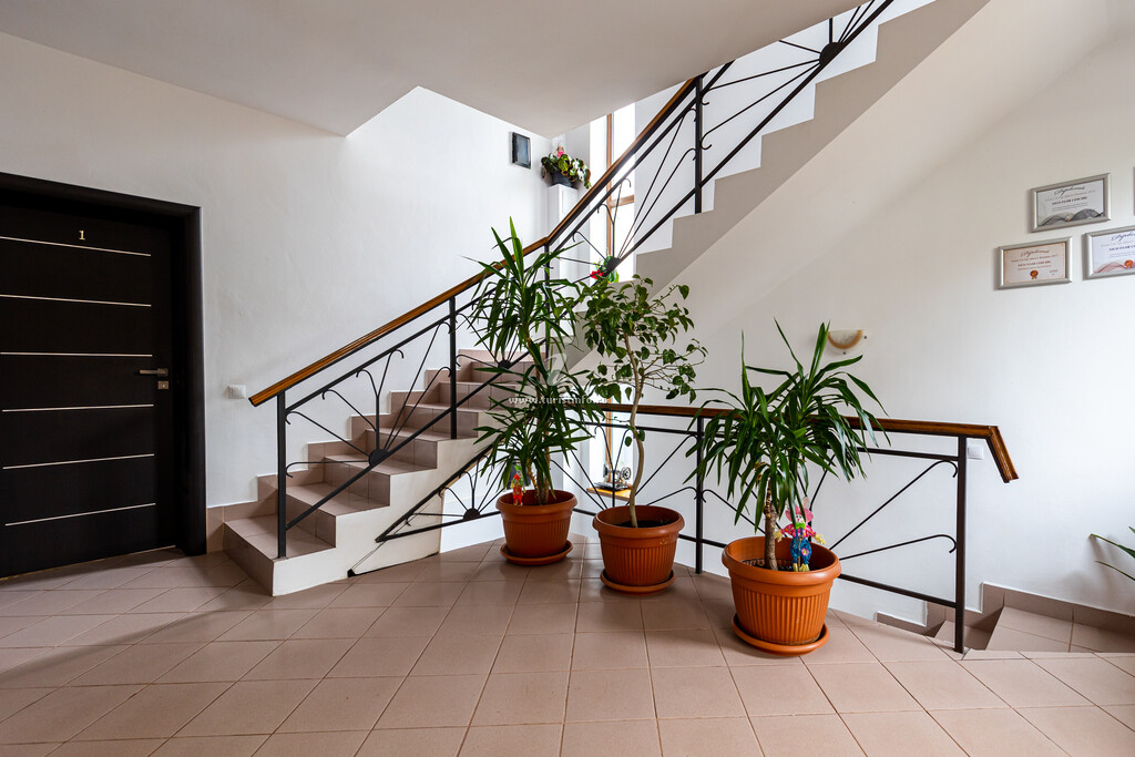 Camere de închiriat Green House Arini