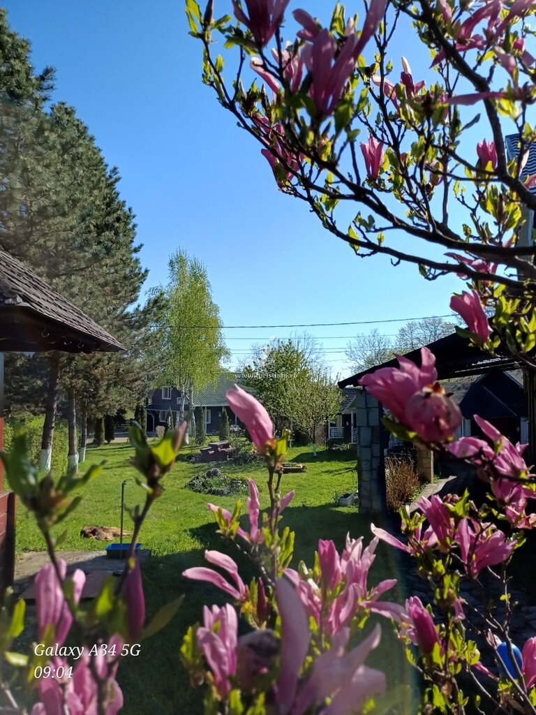 Pensiunea Complex Agroturistic Pădurea de Smarald