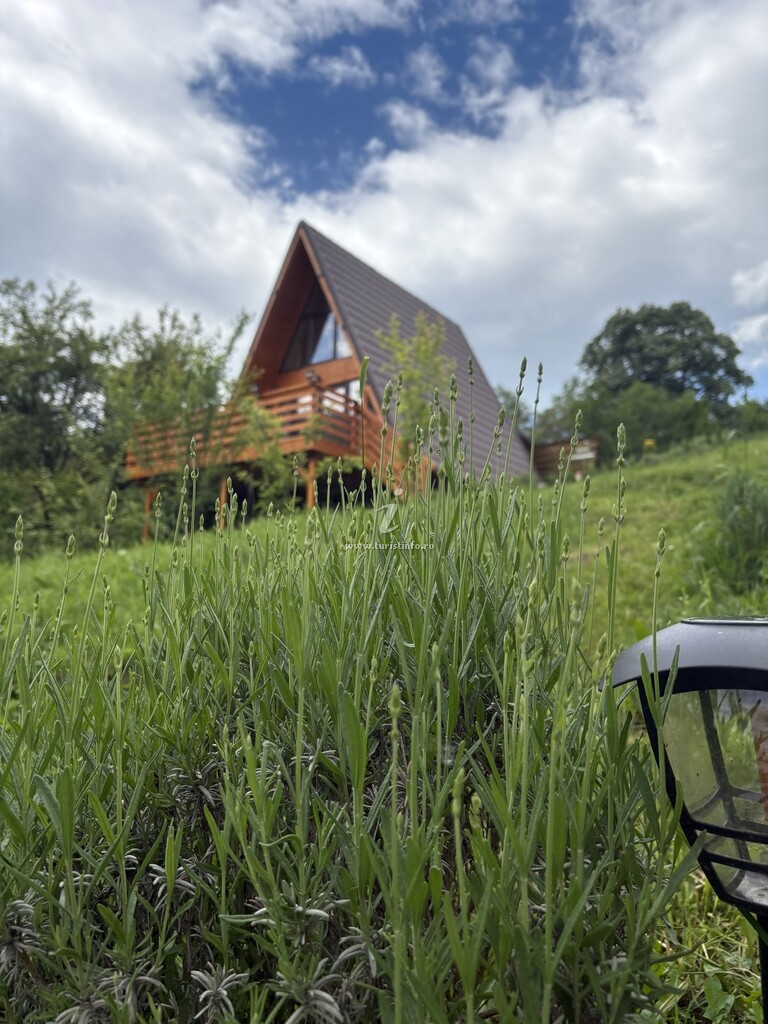 A-frame Grădina cu Lavandă
