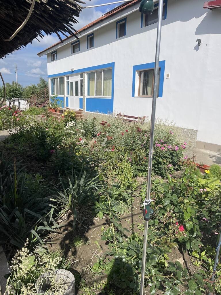 Casa de vacanță Mihaela