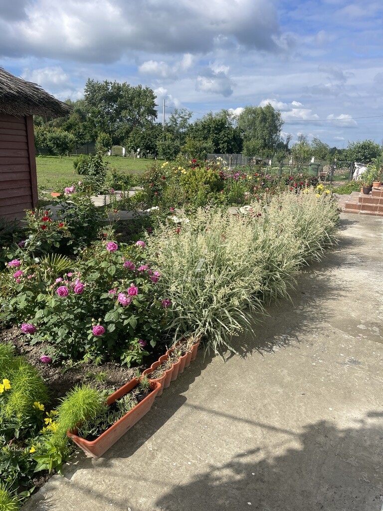 Casa de vacanță Mihaela