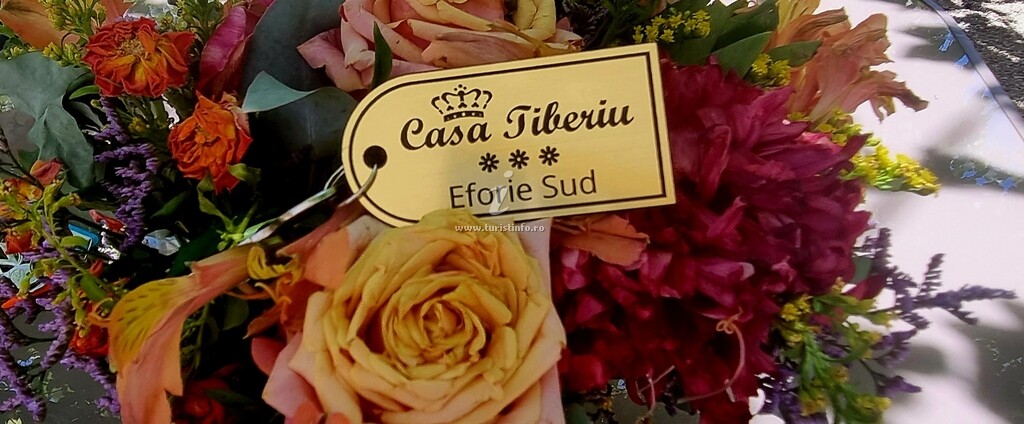 Casa Tiberiu