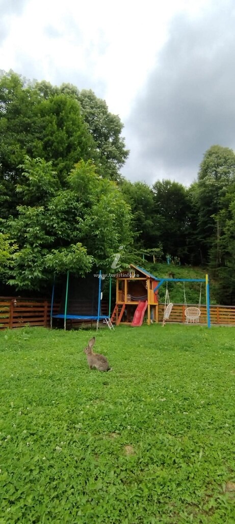 A-frame Grădina cu Lavandă