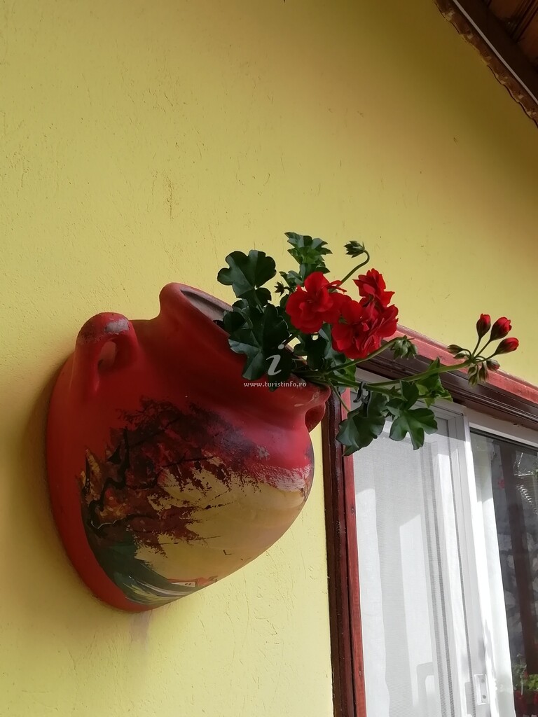 Casa Madera