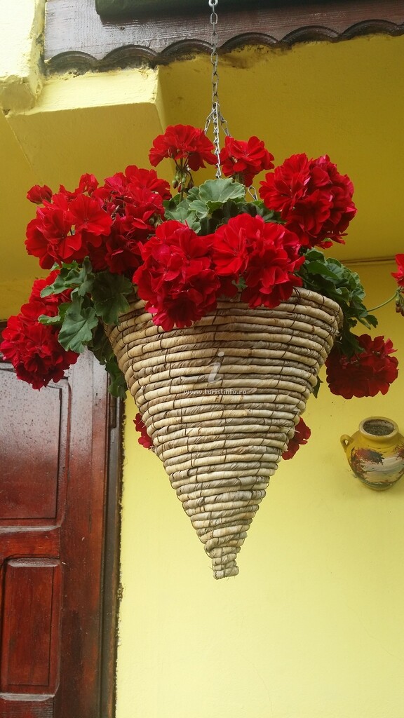Casa Madera