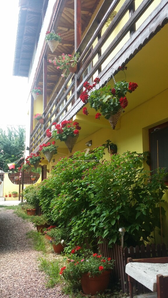 Casa Madera