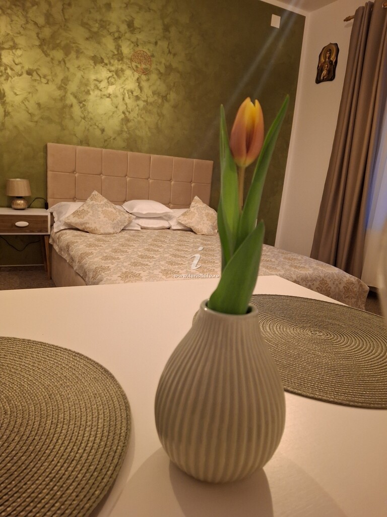 Pensiunea Casa Dorneană