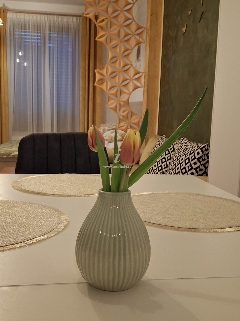 Pensiunea Casa Dorneană