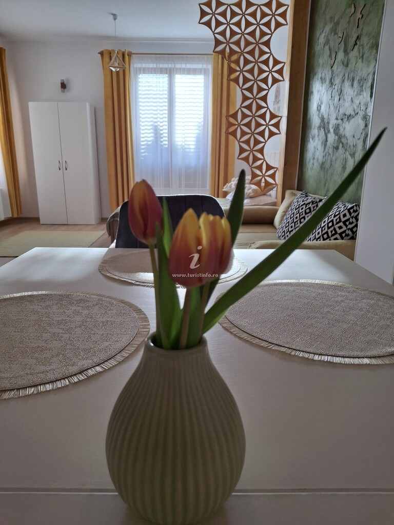Pensiunea Casa Dorneană