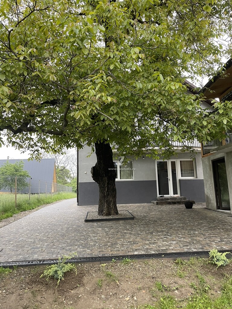 Casa Luca Ama 1