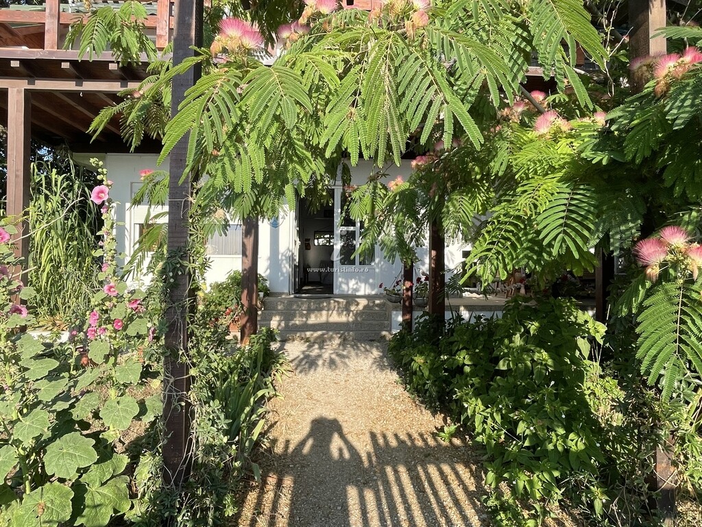 Vila Arborada