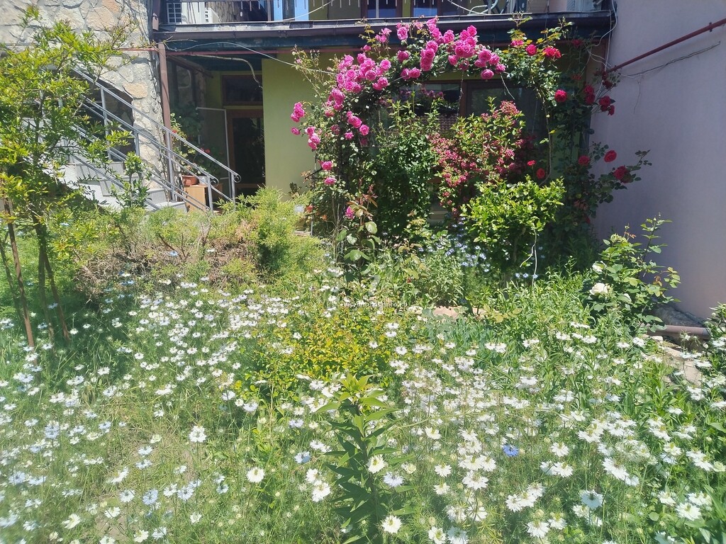 Camere de închiriat Nicoleta