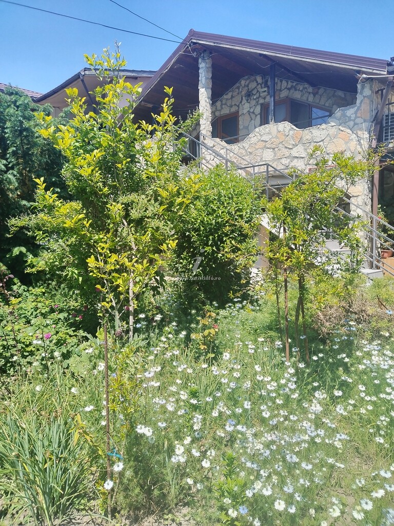 Camere de închiriat Nicoleta