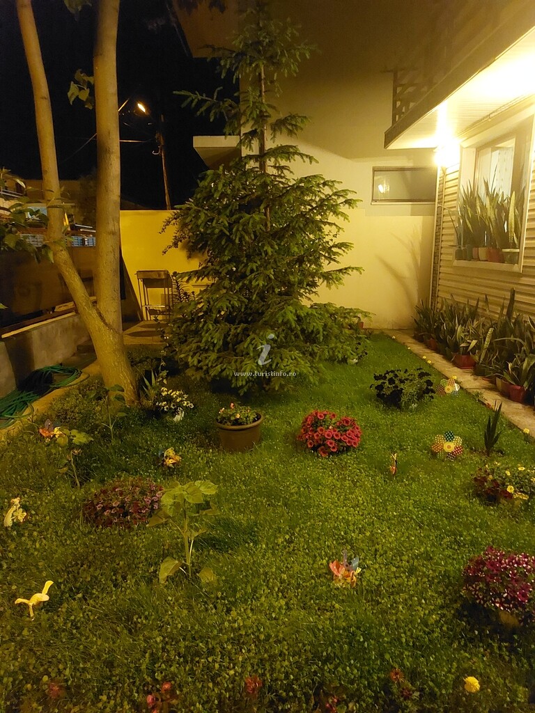 Camere de închiriat Coco