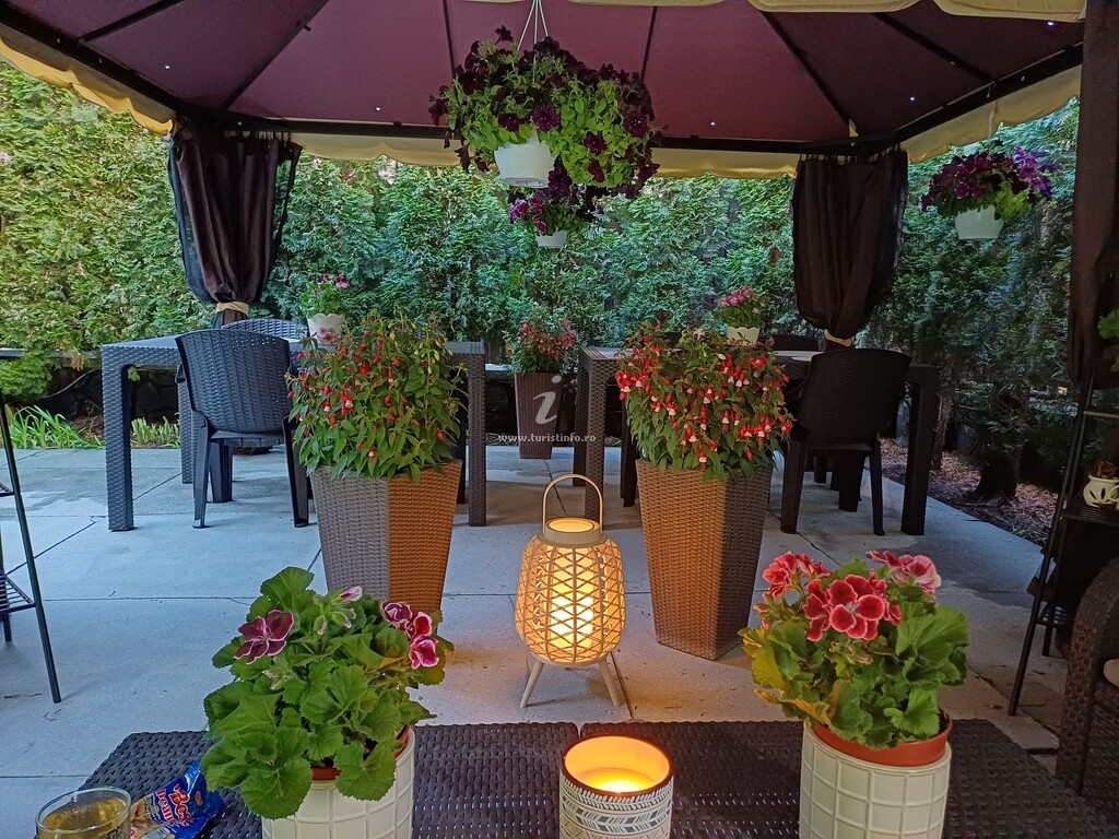 Vila turistica Casa Galbenă