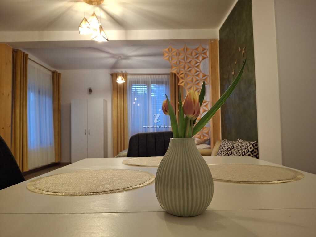 Pensiunea Casa Dorneană