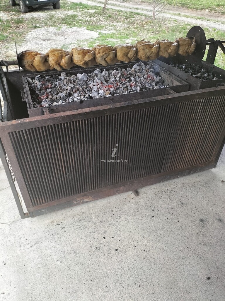 Cabana din Mesteceni