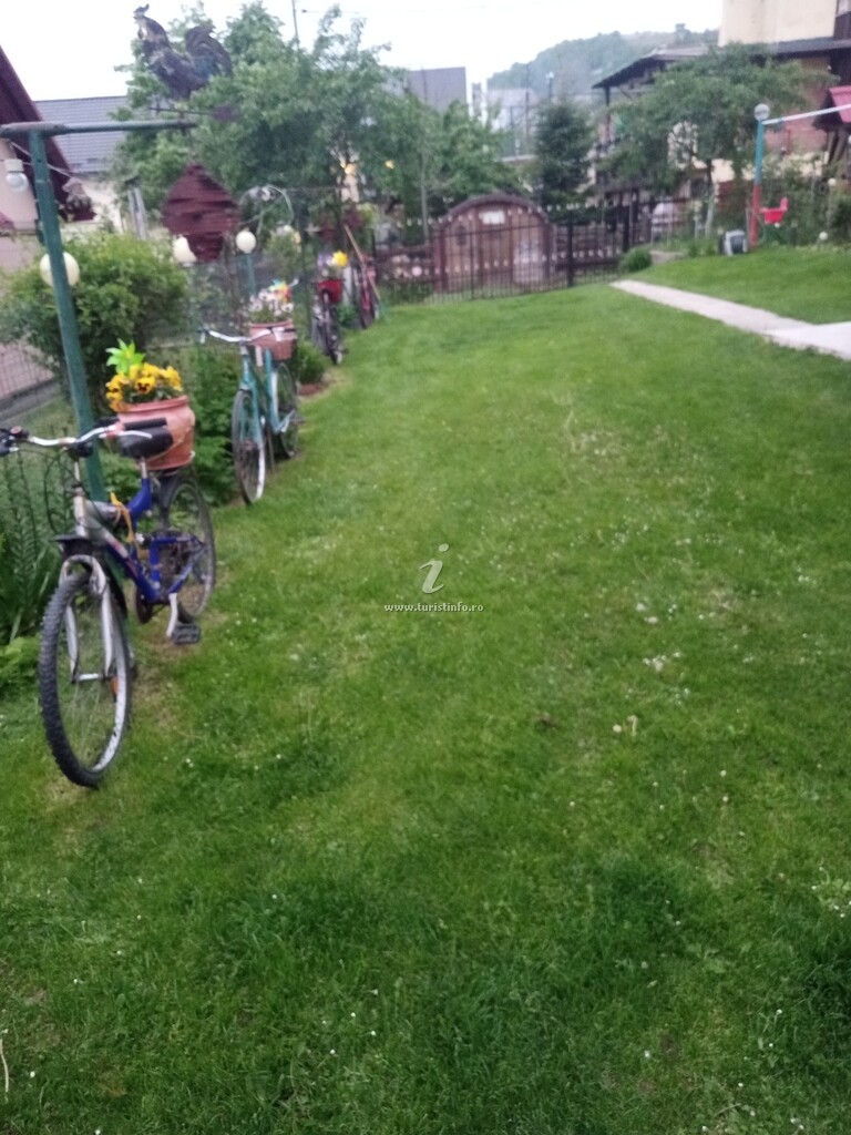 Casa de vacanță Flori de Munte