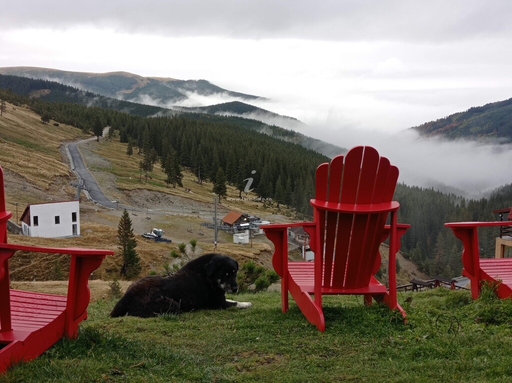 Cabana Transalpina