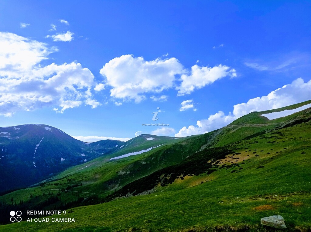 Cabana Transalpina