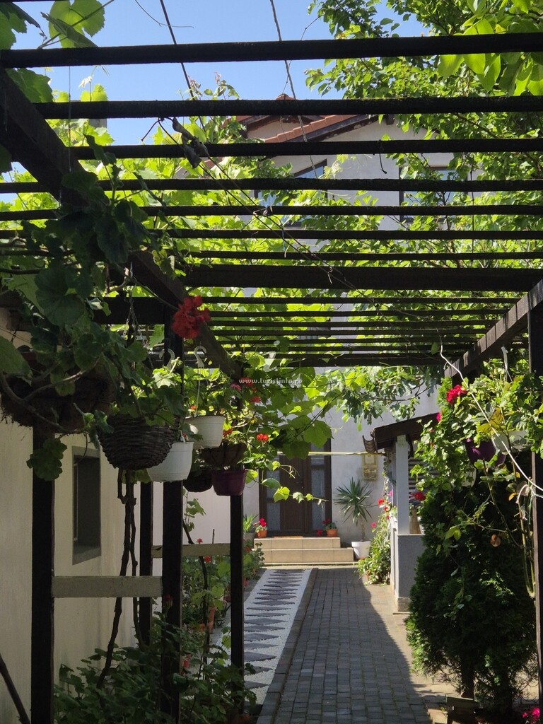 Vila Olli